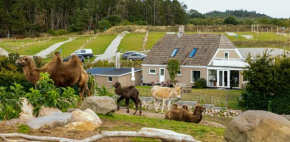 Ree Park Safari, Ebeltoft